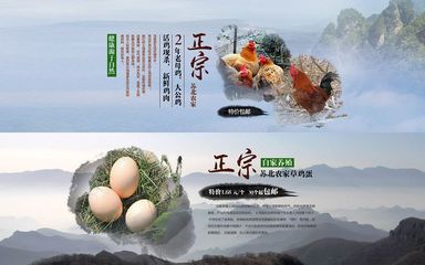 綠色田園，健康生活——優(yōu)質(zhì)農(nóng)產(chǎn)品展